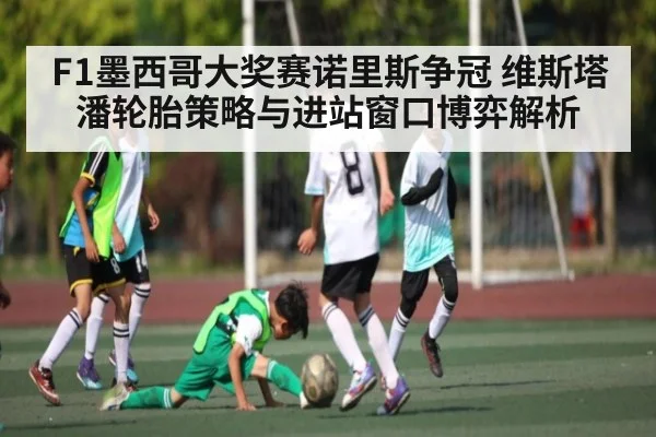 F1墨西哥大奖赛诺里斯争冠 维斯塔潘轮胎策略与进站窗口博弈解析
